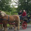 Volksfest 2010